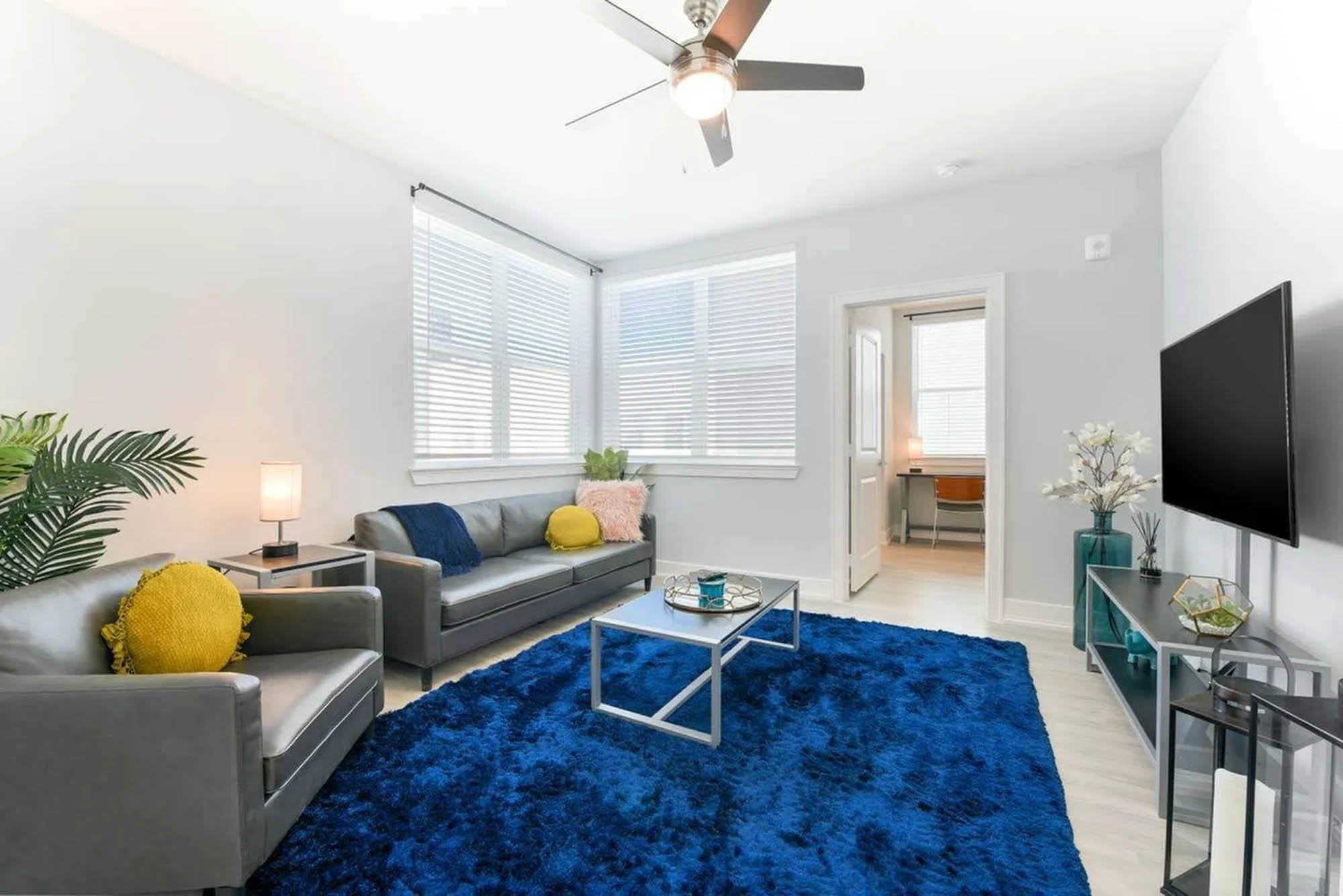 Living room interior with blue rug and modern grey leather couches facing a flat screen TV
