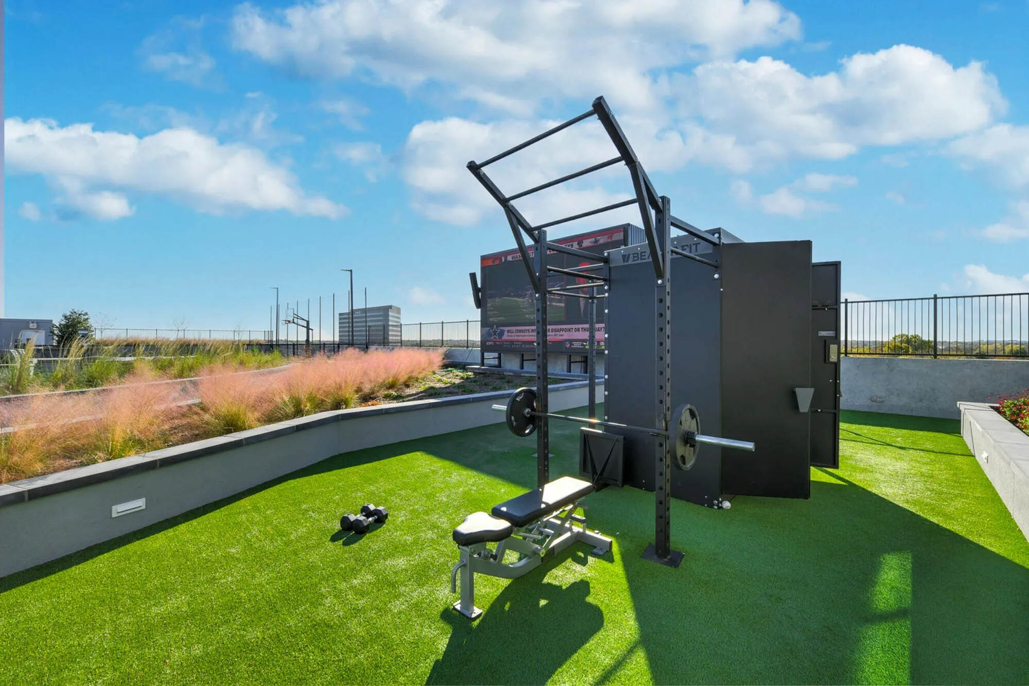 Outdoor gym equipment in greenspace